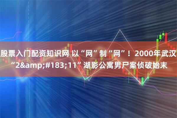 股票入门配资知识网 以“网”制“网”！2000年武汉“2&#183;11”湖影公寓男尸案侦破始末
