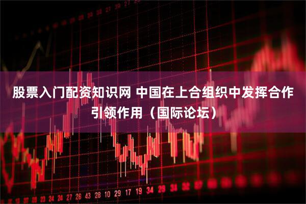 股票入门配资知识网 中国在上合组织中发挥合作引领作用（国际论坛）