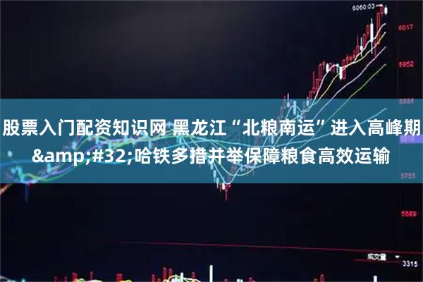 股票入门配资知识网 黑龙江“北粮南运”进入高峰期&#32;哈铁多措并举保障粮食高效运输